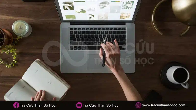 Người Bảo Bình có sự hứng thú đặc biệt đối với công việc nghiên cứu và sẽ đặt tâm huyết vào nó
