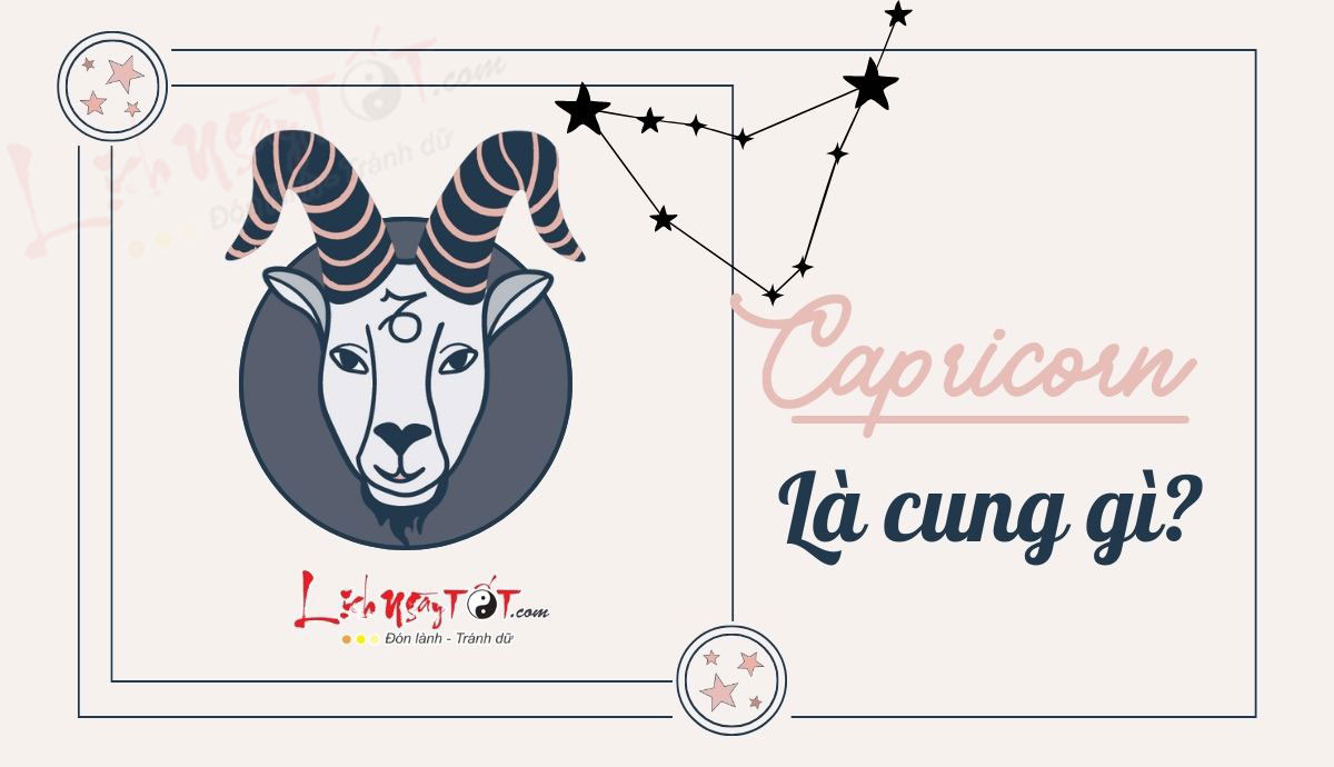 Capricorn là cung gì? Hé lộ những sự thật thú vị của cung hoàng đạo Capricorn