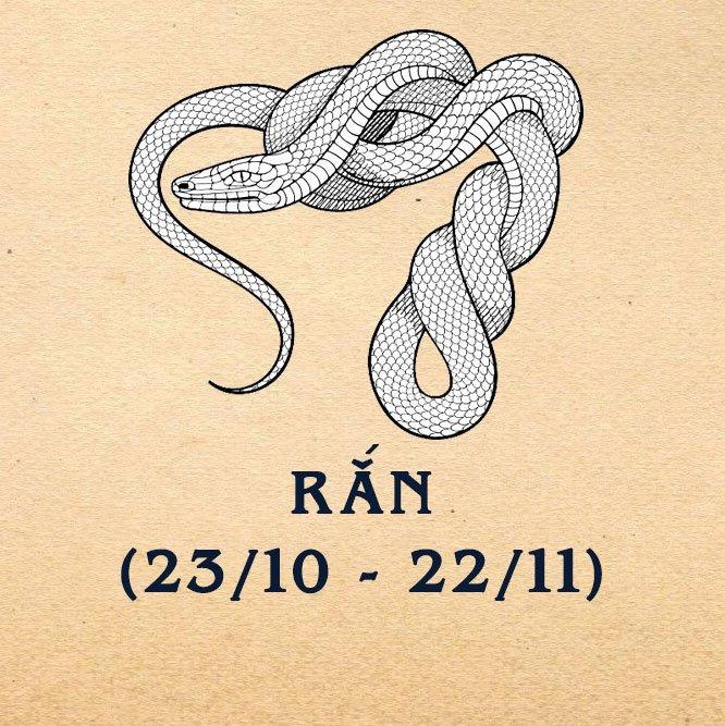 Rắn - bí ẩn và mạnh mẽ.