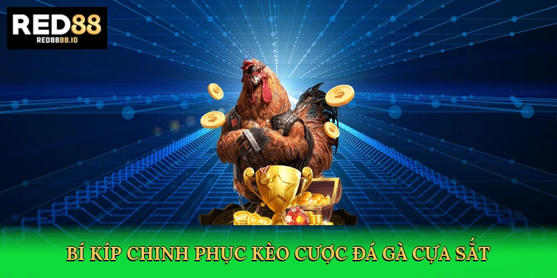 bi-kip-chinh-phuc-keo-cuoc-da-ga-cua-sat-4