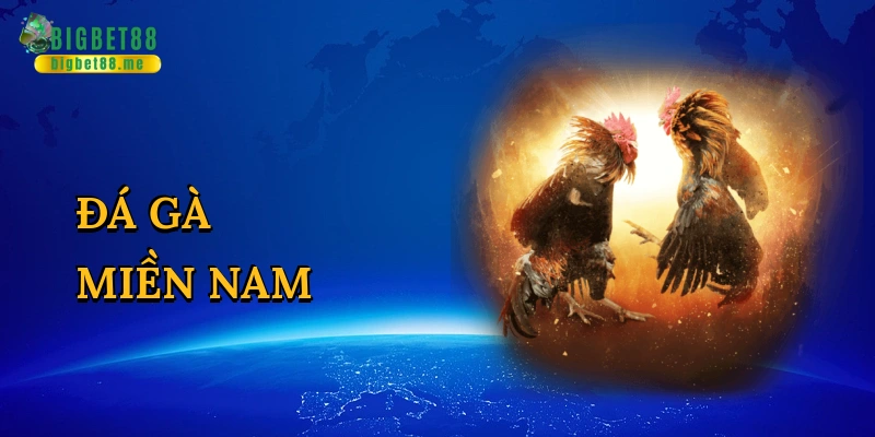 Đá gà miền nam