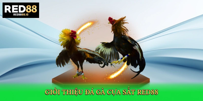 gioi-thieu-da-ga-cua-sat-red88-2