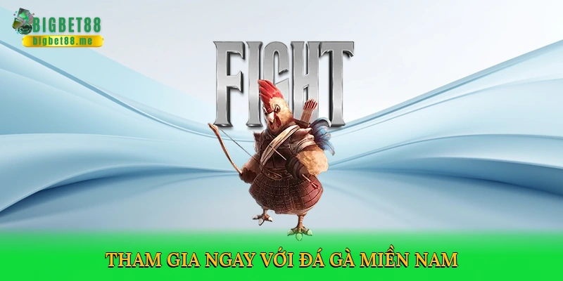 Đá Gà Miền Nam – Cá Cược Kịch Tính Tại Bigbet88