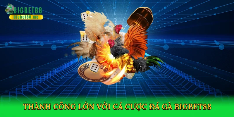 Đá Gà Miền Nam – Cá Cược Kịch Tính Tại Bigbet88