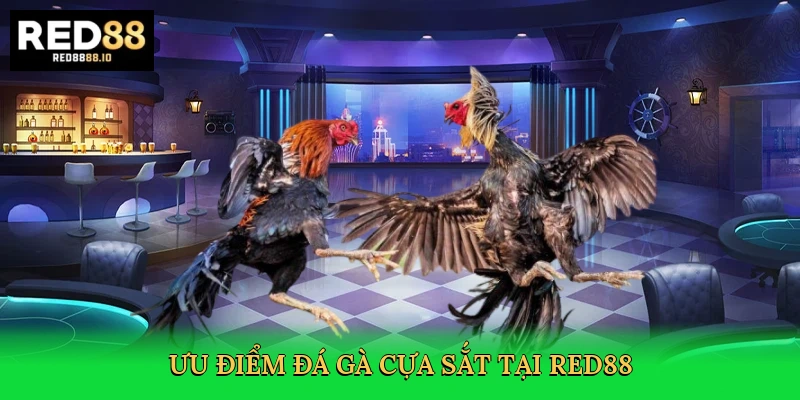 uu-diem-da-ga-cua-sat-tai-red88-3