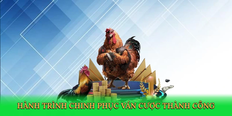 Đá Gà Trực Tiếp Thomo Red88 – Cá Cược Kịch Tính