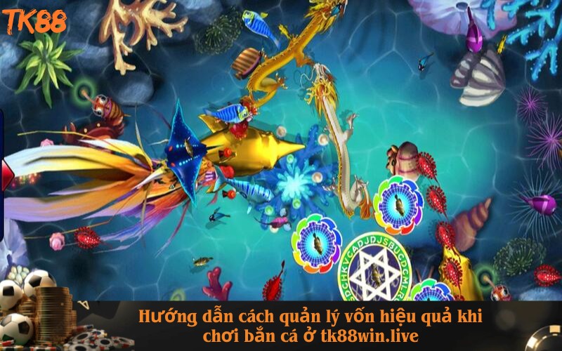 Hướng dẫn cách quản lý vốn hiệu quả khi chơi bắn cá ở tk88win.live