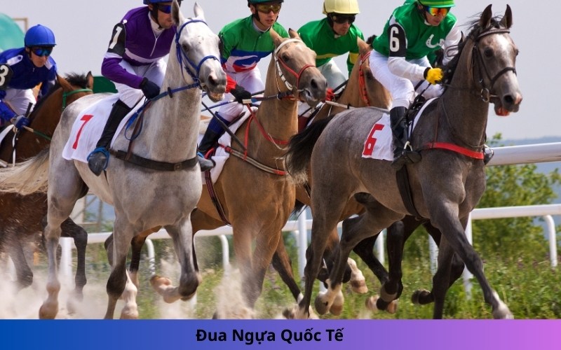 Đua Ngựa Quốc Tế
