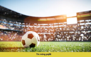 Đá Gà Trực Tiếp Thomo Red88 – Cá Cược Kịch Tính